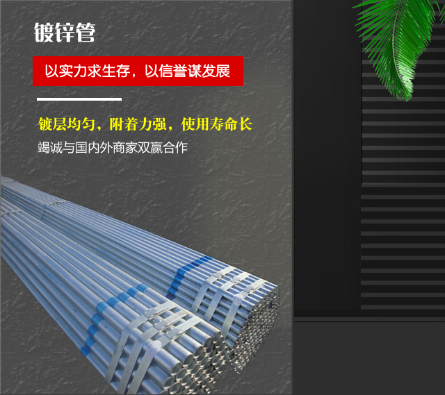 镀锌管